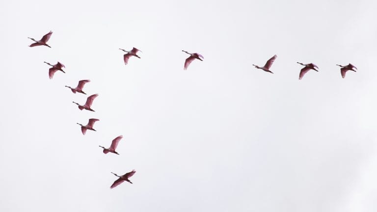 AWS Application Modernization: Proven Strategies and Best Practices AWS Application Modernization: Proven Strategies and Best Practices