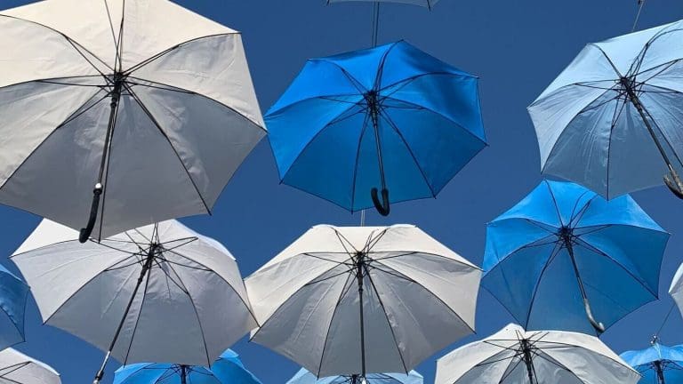 Software Intellectual Property Rights Protection Strategy Software Intellectual Property Rights Protection Strategy