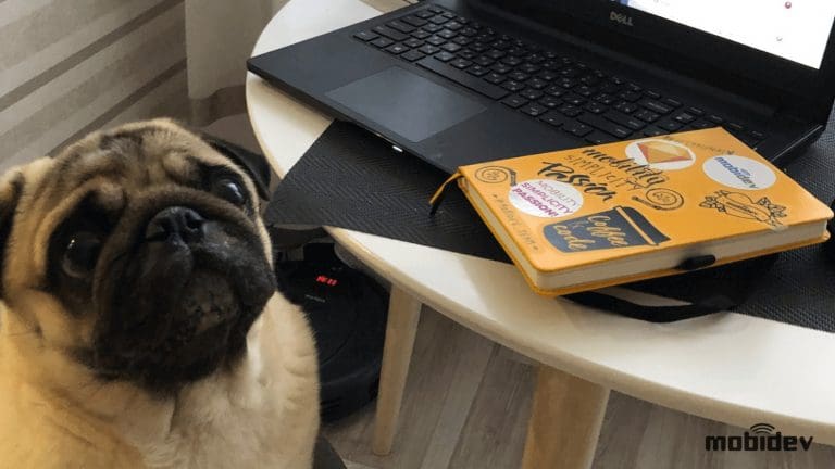 software-development-company-work-from-home-switch-1