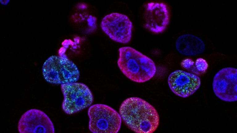 The Use and Benefits of AI in Healthcare The Use and Benefits of AI in Healthcare