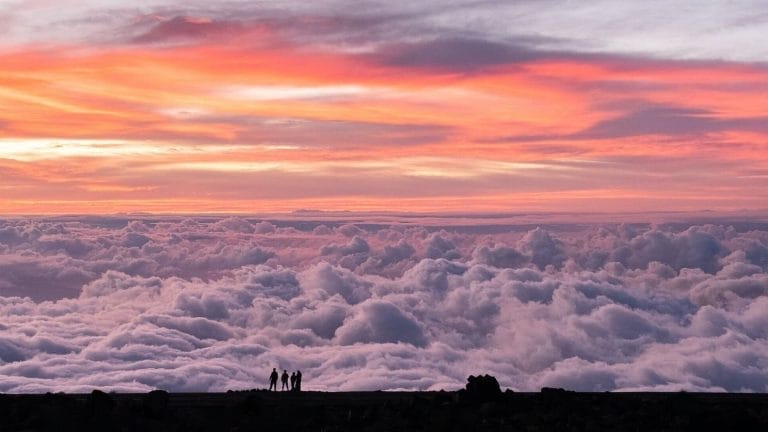 Xamarin to .NET MAUI Migration Roadmap: Key Steps for a Smooth Transition Xamarin to .NET MAUI Migration Roadmap: Key Steps for a Smooth Transition